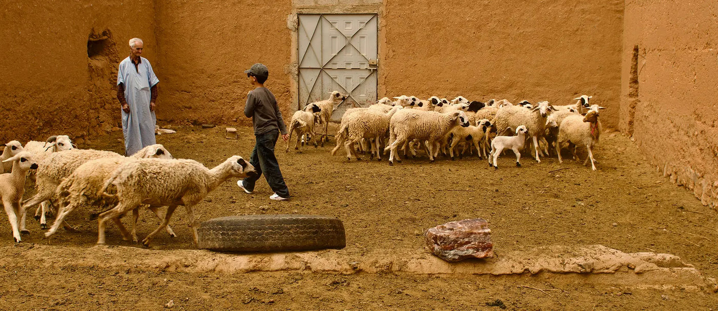 A Trip To Morocco — Back To The Roots